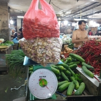 Timbangan Pegas merek Hanoi