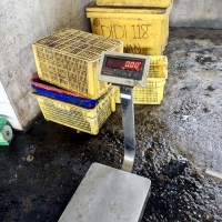 Timbangan Digital Waterproof / Tahan Air