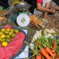 Timbangan Pegas merek Hanoi