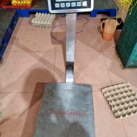 Timbangan Digital Waterproof / Tahan Air