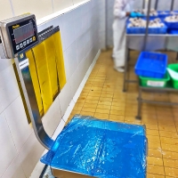 Timbangan Digital Waterproof / Tahan Air