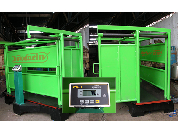 TIMBANGAN TERNAK DIGITAL HYBRID SYSTEM